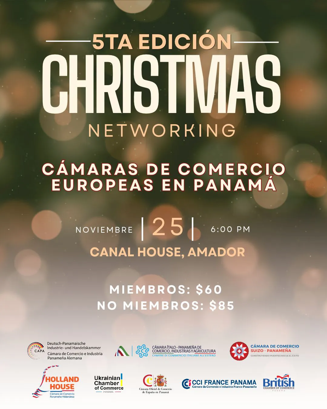 Christmas Networking 2026